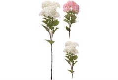 Διακοσμητικό Λουλούδι Viburnum 60cm σε Διάφορες Αποχρώσεις