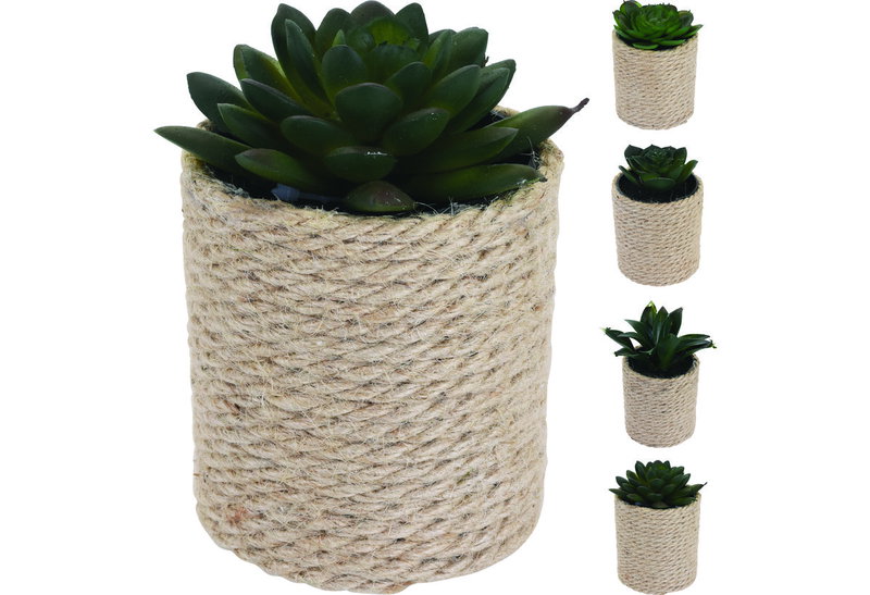 Deco Διακοσμητικό Παχύφυτο σε Γλαστράκι με Σχοινί 14cm