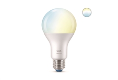 Λαμπτήρας Led Wiz A67 13