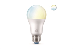 Λαμπτήρας Led Wiz A60 8W E27 806lm
