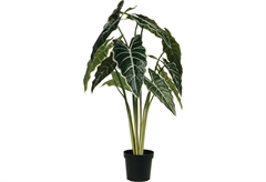 Πράσινο Φυτό σε Γλάστρα 80cm