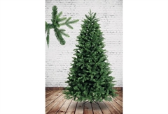 Χριστουγεννιάτικο Δέντρο Πίνδος 240cm