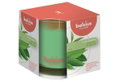 Αρωματικό Κερί Green Tea Bolsius σε Ποτήρι 9,5x9,5cm
