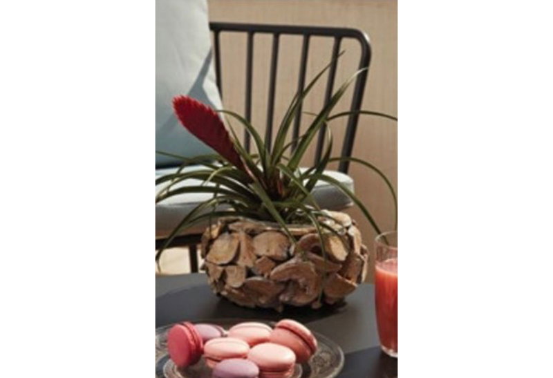 Διακοσμητικό Κασπώ Θαλασσόξυλο Φ32x14cm