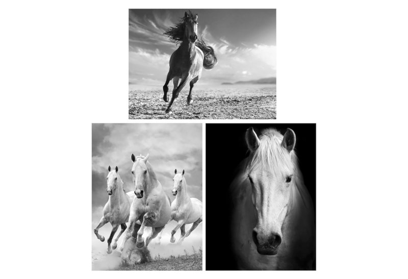 Ostaria Horses Καμβάς 80x60cm σε Διάφορα Σχέδια