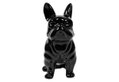 Ostaria Deco Διακοσμητικό Bulldog 22.5cm Μαύρο Κεραμικό