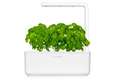 Click And Grow Smart Garden 3 με 3 Σπόρους Βασιλικού 30x12cm Λευκό