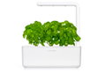 Click And Grow Smart Garden 3 με 3 Σπόρους Βασιλικού 30x12cm Λευκό