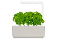 Click And Grow  Smart Garden 3 με 3 Σπόρους Βασιλικού 30x12cm Taupe