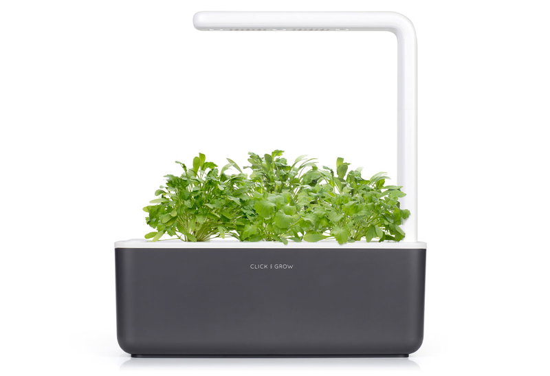 Click And Grow  Smart Garden 3 με 3 Σπόρους Βασιλικού 30x12cm Ανθρακί