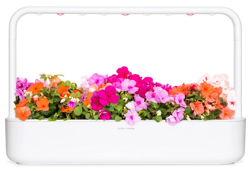 Click And Grow Smart Garden 9 με 9 Σπόρους Λευκό