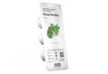 Click And Grow  Συσκευασία Σπόρων Μαϊντανός 3 Τεμάχια