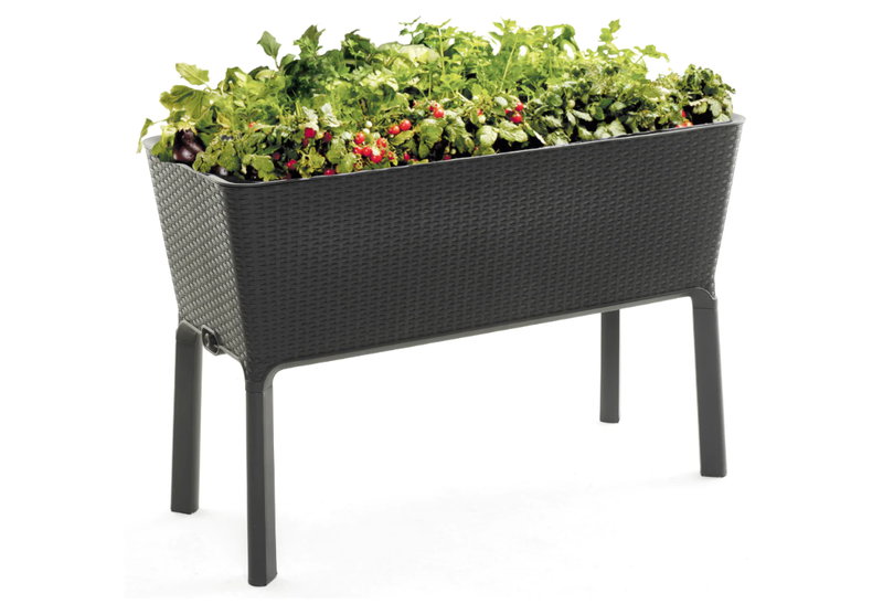 Keter Fullbloom Λαχανόκηπος 114x49.30x75.70cm