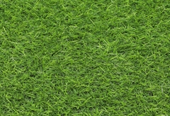 Συνθετικός Χλοοτάπητας Ground 2x1m με Ύψος Πέλους 20mm