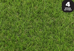 Συνθετικός Χλοοτάπητας Dizas Land 4m με Ύψος Πέλους 25mm με το Μέτρο
