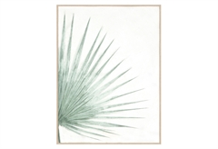 Atmosphera Palm Κάδρο 58x78cm