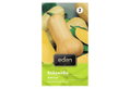Eden Σπόροι Κολοκύθας Butternut