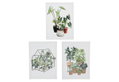 Ostaria Καμβάς Botanical 30x40cm σε 3 Σχέδια