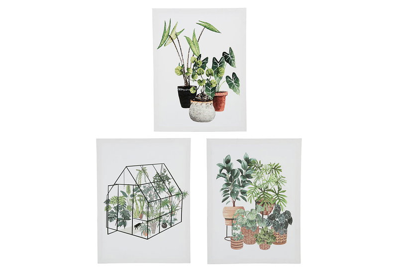 Ostaria Καμβάς Botanical 30x40cm σε 3 Σχέδια