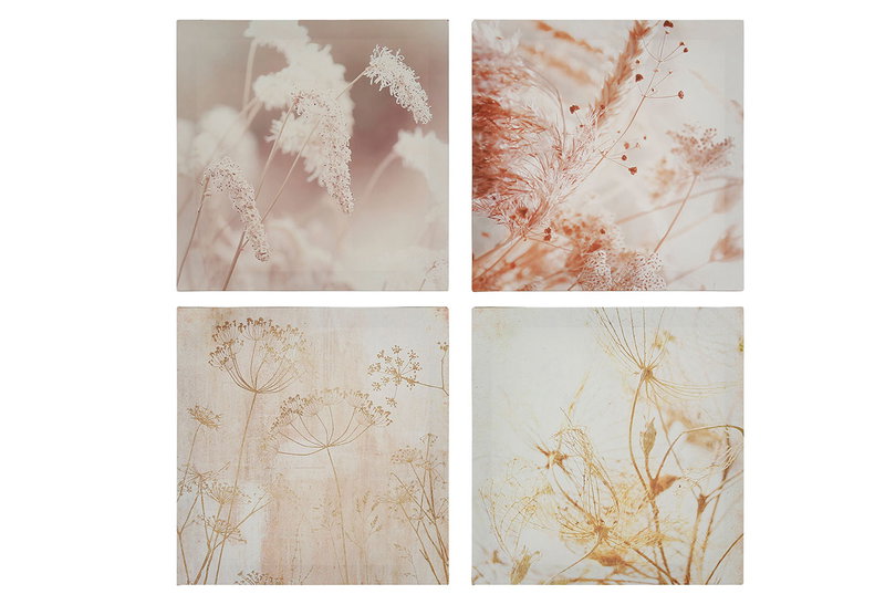 Ostaria Καμβάς Dried Flowers σε 4 Σχέδια