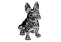 Διακοσμητικό Bulldog Atmosphera Μαύρο 22cm