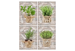 Καμβάς Herbals 30x40cm σε 4 Σχέδια
