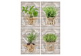 Καμβάς Herbals 30x40cm σε 4 Σχέδια