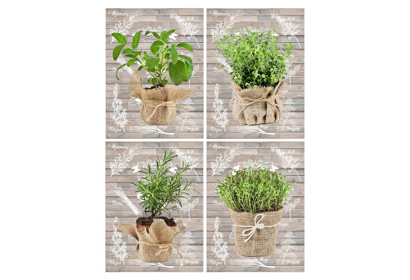 Καμβάς Herbals 30x40cm σε 4 Σχέδια
