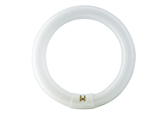 Λάμπα Φθορισμού Philips 32W/84 Κυκλική