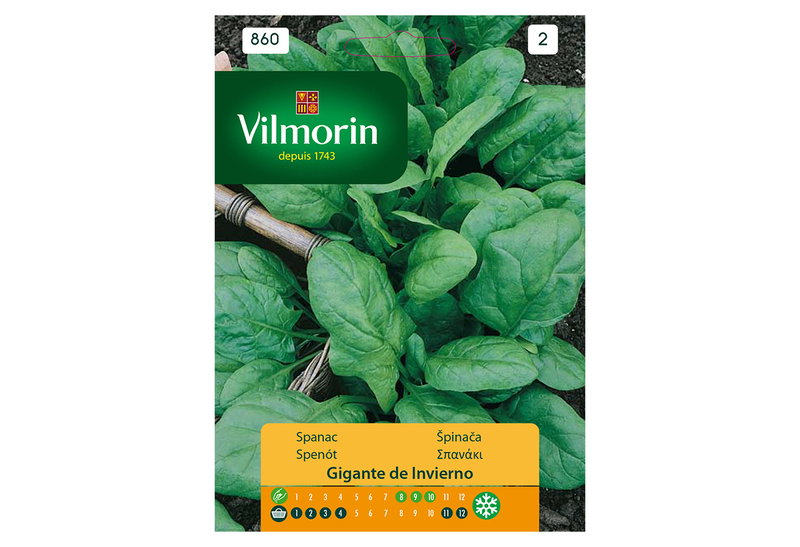 Vilmorin Σπόροι Σπανάκι