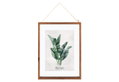 Κάδρο Atmosphera Eucalyptus 38x48cm σε 3 Σχέδια