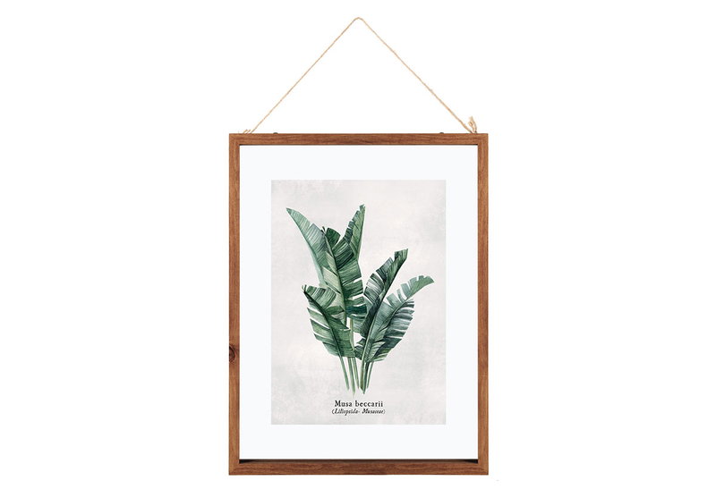 Κάδρο Atmosphera Eucalyptus 38x48cm σε 3 Σχέδια