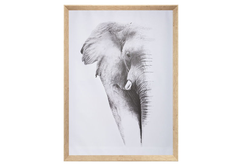 Κάδρο Atmosphera Elephant 58x78cm σε 2 Σχέδια