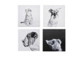 Καμβάς Ostaria Animals 28x28cm σε 4 Σχέδια