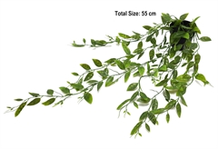 Διακοσμητική Κλαίουσα Home&Camp Χόγια 55cm