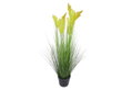 Τεχνητό Γρασίδι Home&Camp με 5 Pampas 68cm