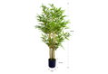 Διακοσμητικό Φυτό Home&Camp Bamboo 120cm