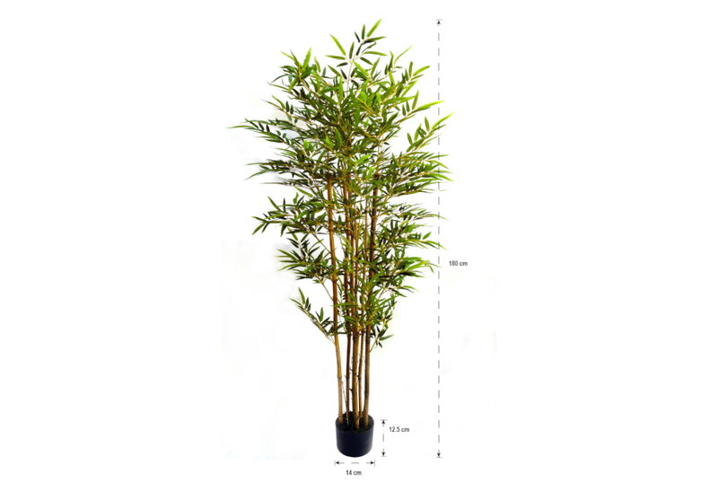 Διακοσμητικό Φυτό Home&Camp Bamboo 180cm