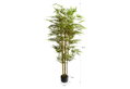Διακοσμητικό Φυτό Home&Camp Bamboo 210cm