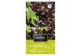 Σπόροι Eden Μαρούλι Σγουρή Σαλάτα Mix Mesclun