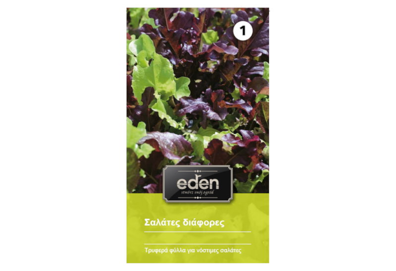 Σπόροι Eden Μαρούλι Σγουρή Σαλάτα Mix Mesclun