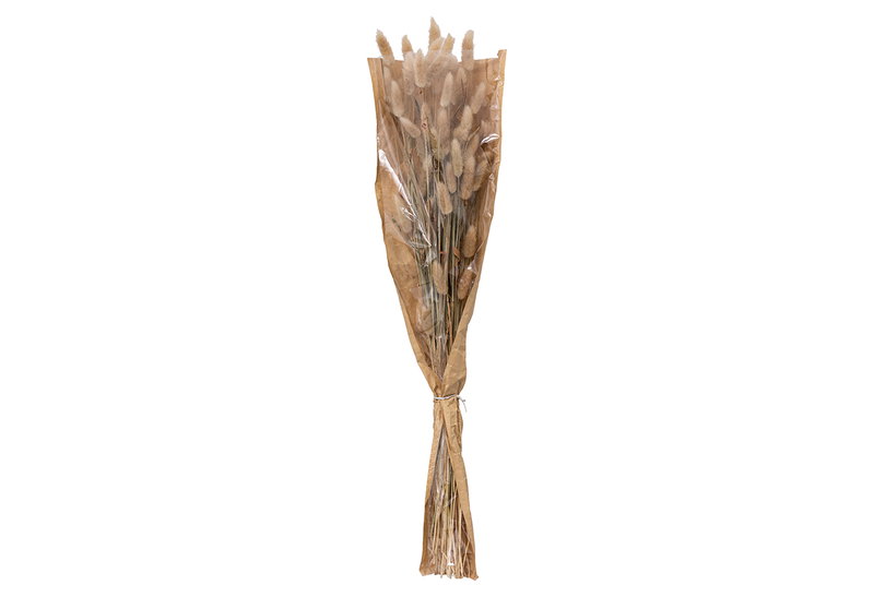 Διακοσμητικό Μπουκέτο Atmosphera Mini Pampas