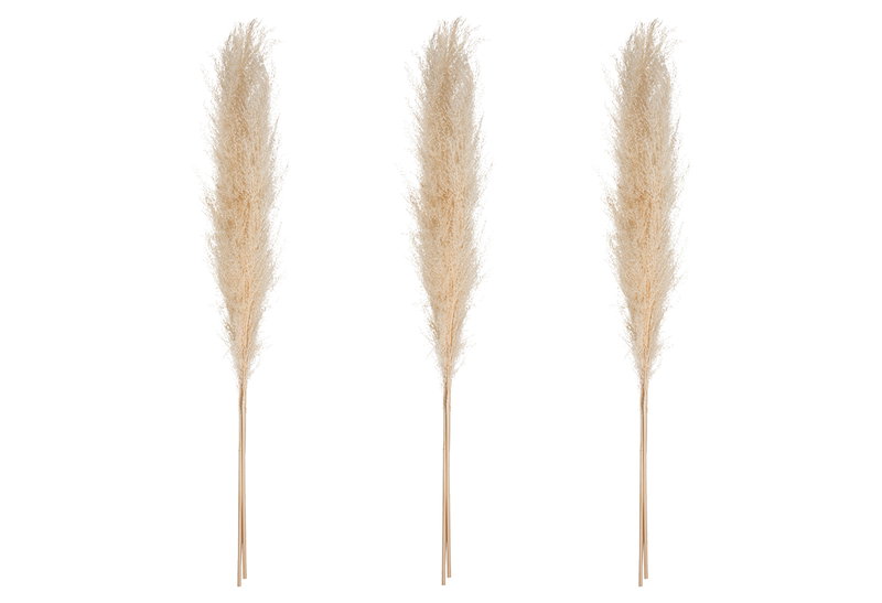 Σετ Φυσικό Pampas 110cm 3τμχ