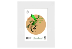 Κορνίζα Ξύλινη Far Matisse 20x30cm Λευκή