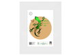 Κορνίζα Ξύλινη Far Matisse 20x30cm Λευκή