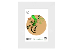 Κορνίζα Ξύλινη Far Matisse 40x50cm Λευκή