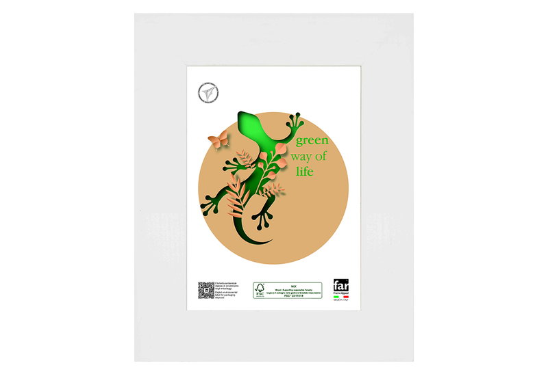 Κορνίζα Ξύλινη Far Matisse 50x70cm Λευκή