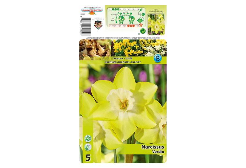 Βολβοί Φθινοπώρου HBM Bulbs Νάρκισσος Mini Verdin