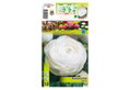 Βολβοί Φθινοπώρου HBM Bulbs Ranunculus White