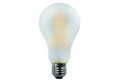 Λάμπα LED Filament Frost Dimmable Wellio 11W E27 A67 1600lm Φυσικό Λευκό